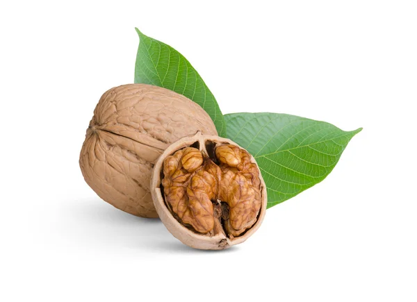 Nueces con hojas —  Fotos de Stock