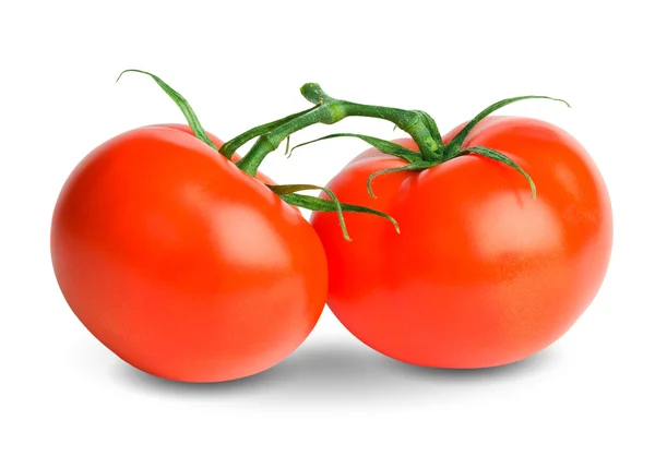 Zwei Tomaten — Stockfoto