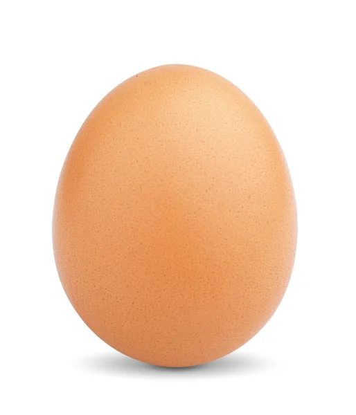 Chicken egg — Stock Photo, Image