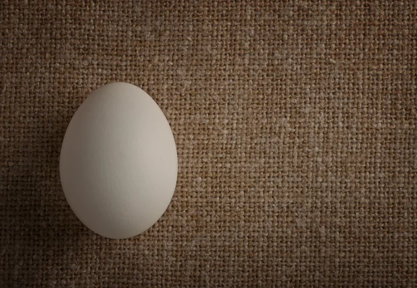 Chicken egg white — Stock Photo, Image