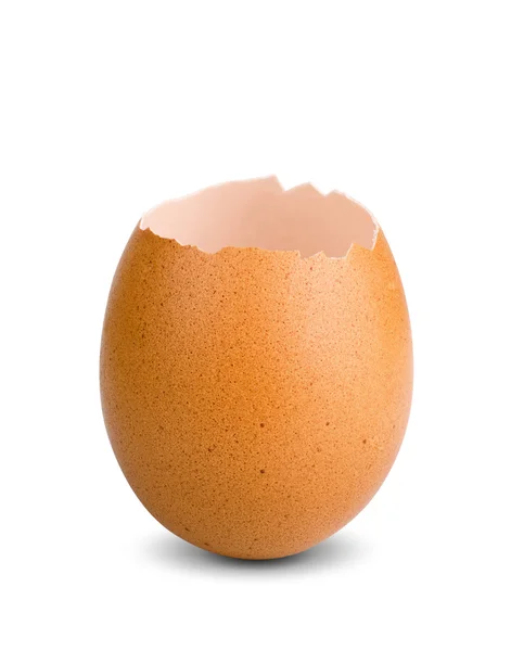 Eggshell — Stock Photo, Image