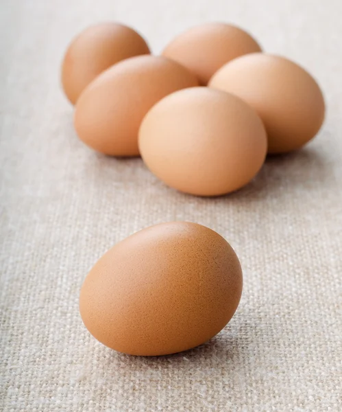 Chicken eggs — Stock Photo, Image