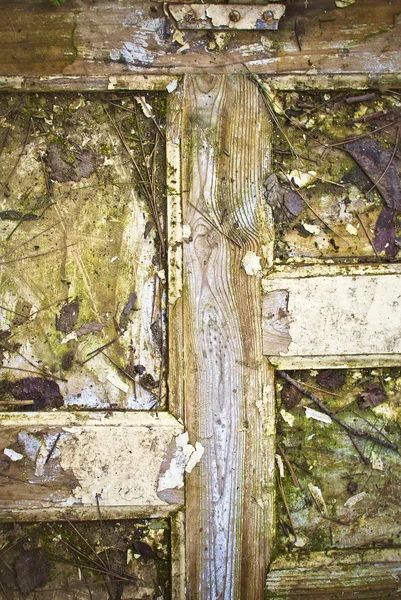 Sporca porta grunge con foglie bagnate — Foto Stock