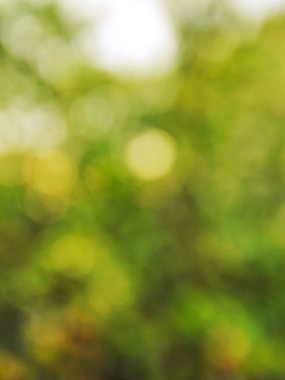 Soyut bokeh arkaplanı