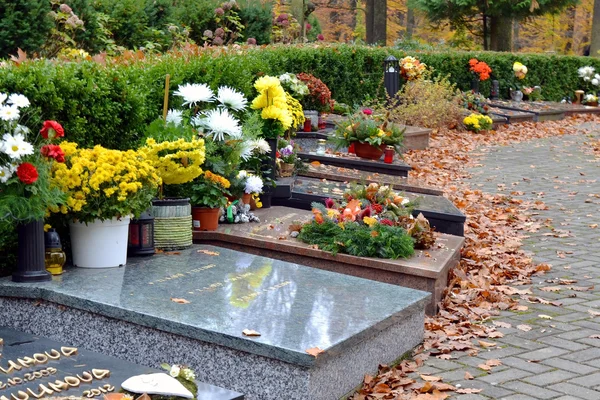 Tombs and leaves on path at cemetery — Stock Photo, Image