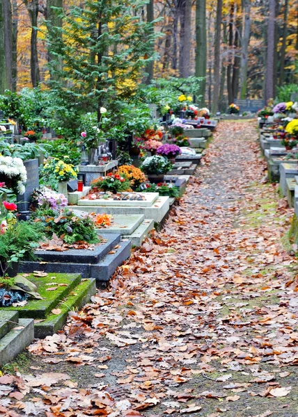 Tumbas y hojas en camino en el cementerio — Foto de Stock