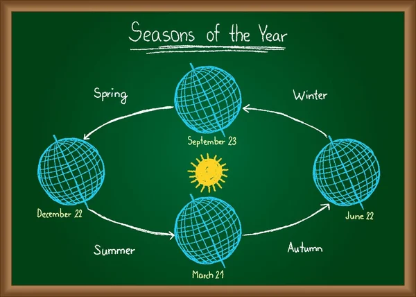 Saisons de l'année sur tableau — Image vectorielle