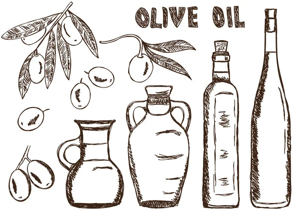 Olive oils doodles — Stock Vector