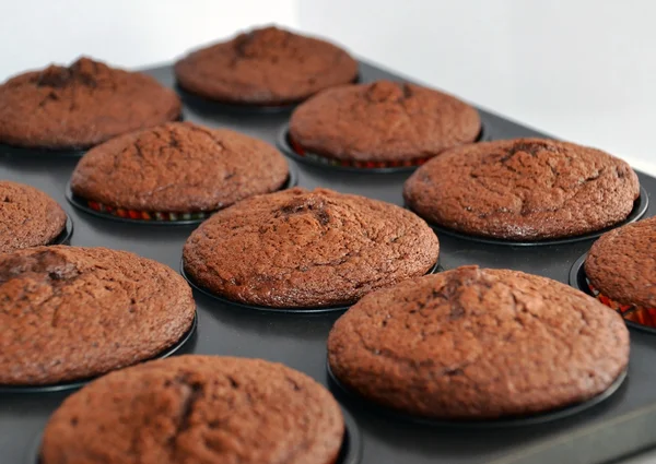 Chocolade muffins — Stockfoto