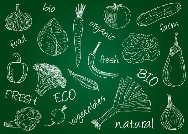 Vegetables doodles - school board — Stock Vector