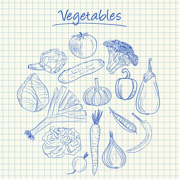 Vegetables doodles - squared paper — Stock Vector