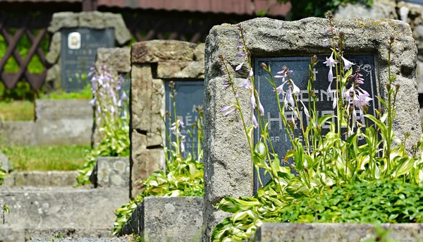Taş mezar ile kır çiçekleri — Stok fotoğraf