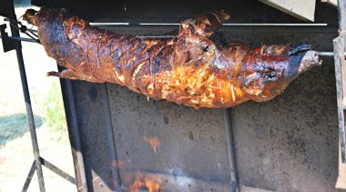 kavrulmuş emzirmeyi pig