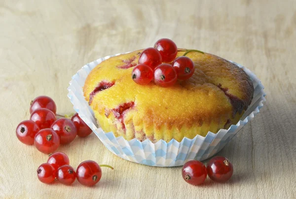Muffin with red currants — Stock Photo, Image