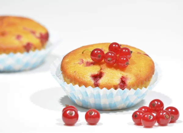 Muffins with red currants — Stock Photo, Image