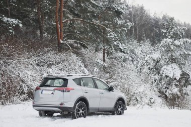 Karlı kış gününde ormanın yakınına park edilmiş modern lüks bir araba..