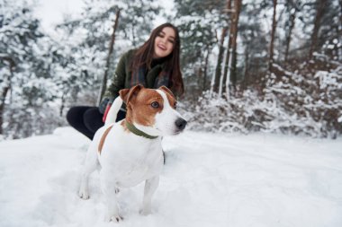 Odaklanmış fotoğraf. Kış parkında köpeğiyle yürürken gülümseyen esmer..