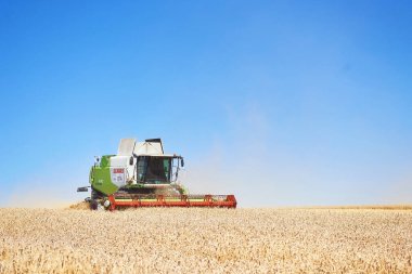 Ternopil - 20 Temmuz: 20 Temmuz 2017 'de Ternopil' de buğday tarlasında çalışan hasatçıyı birleştirin.