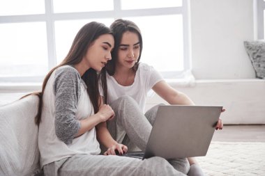Güzel gün ışığı. Genç bayan ikizler beyaz yatağın yanında oturuyor ve gümüş renkli dizüstü bilgisayar kullanıyorlar..