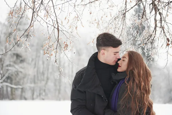 Branches Tree Gorgeous Young Couple Have Good Time Together Snowy — Stock Photo, Image