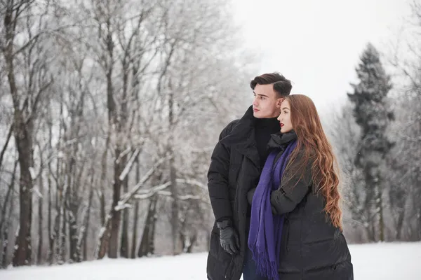 Can Gorgeous Young Couple Have Good Time Together Snowy Forest — Stock Photo, Image