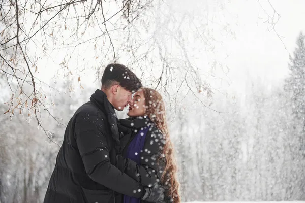 Neve Cade Dall Albero Splendida Giovane Coppia Hanno Buon Tempo — Foto Stock