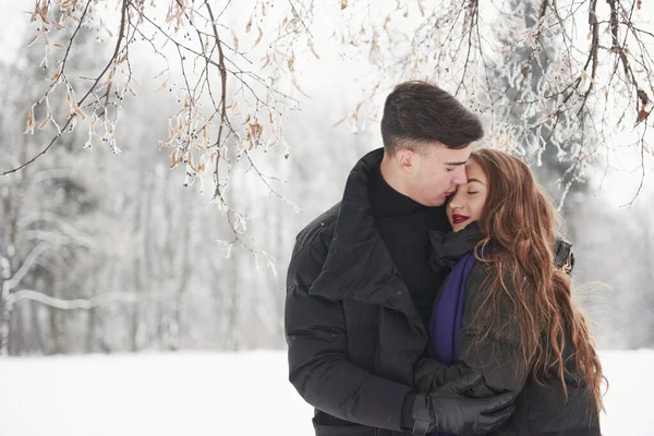 Tree Branches Snow Gorgeous Young Couple Have Good Time Together — Stock Photo, Image