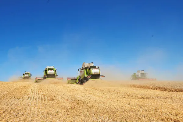 Ternopil July Few Combines Cutting Swath Middle Wheat Field Harvest Stock Picture