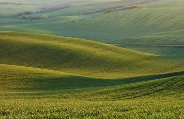 Güzel çayır. Gündüz vakti Moravya 'nın yeşil tarım alanları. Hava güzel..