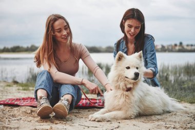 Köpek uzaklara bakıyor. İki bayan arkadaş kumsalda harika vakit geçiriyorlar..