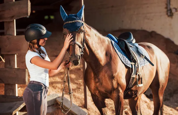 Animal Está Vestido Azul Caballo Uniforme Casco Protector Negro Con —  Fotos de Stock