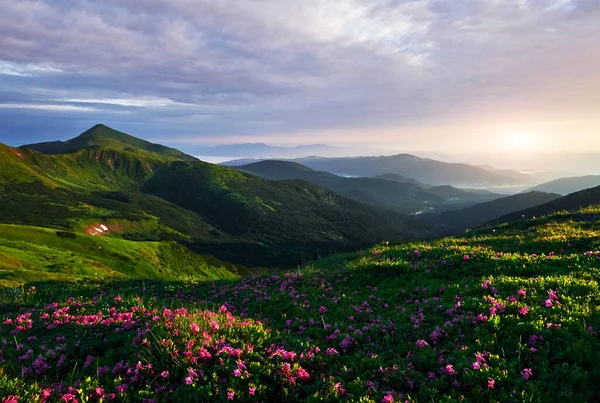 Горные Вершины Величественные Карпаты Красивый Пейзаж Захватывающий Вид — стоковое фото