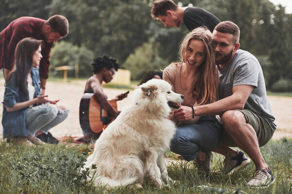 They love their pet. Group of people have picnic on the beach. Friends have fun at weekend time.