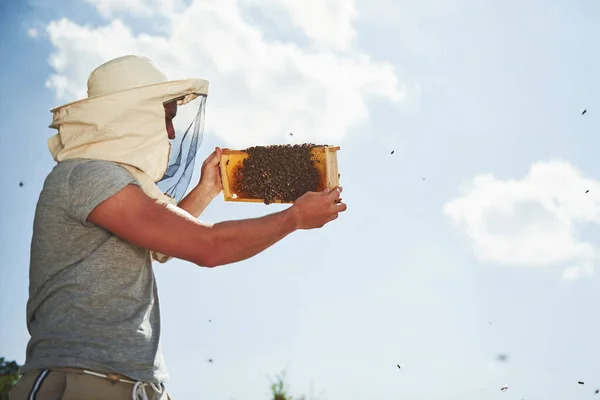Teplé Počasí Skoro Čistá Obloha Včelař Pracuje Plástve Plnými Včel — Stock fotografie