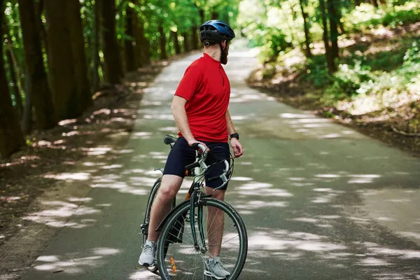 Kijk Achterom Fietser Fiets Asfaltweg Het Bos Zonnige Dag — Stockfoto