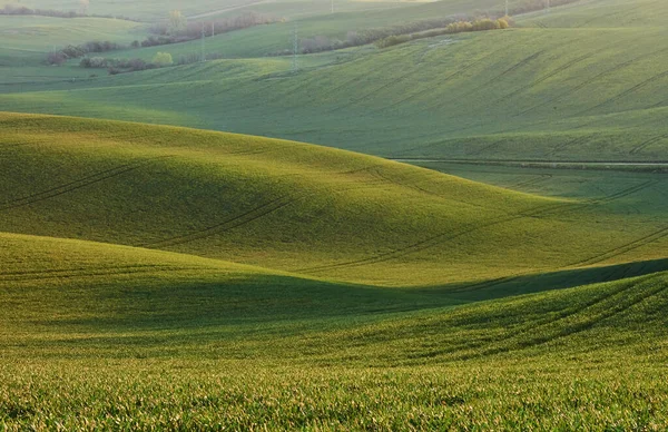 Lindo Prado Campos Agrícolas Verdes Morávia Durante Dia Bom Tempo — Fotografia de Stock