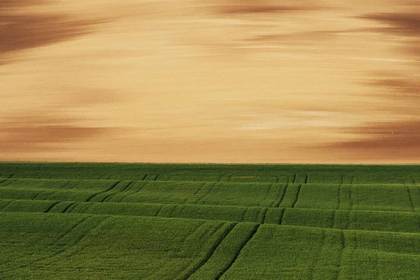 Golden Colored Moravia Beautiful Nature Rural Scene — Stock Photo, Image