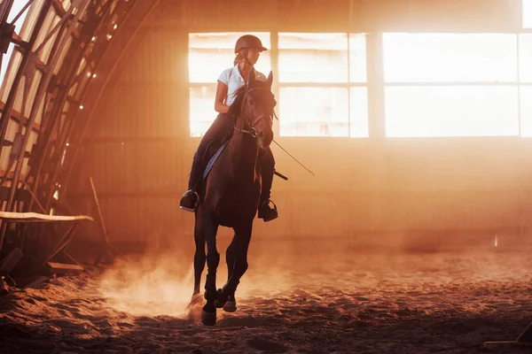 Majestueus Beeld Van Paard Silhouet Met Ruiter Zonsondergang Achtergrond Het — Stockfoto