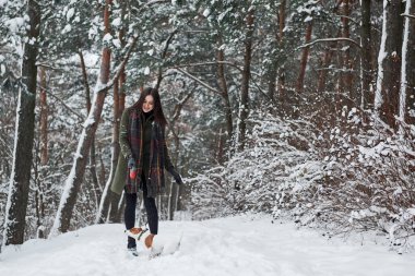 İnsan ve hayvan arasındaki arkadaşlık. Sıcak giysili bir kadın karlı ormanda köpeği gezdirir. Ön görünüm.