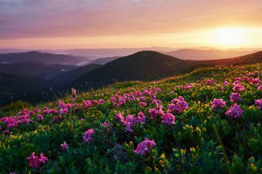 Dağlarda özgürlük. Görkemli Karpatlar. Güzel manzara. Nefes kesici manzara.