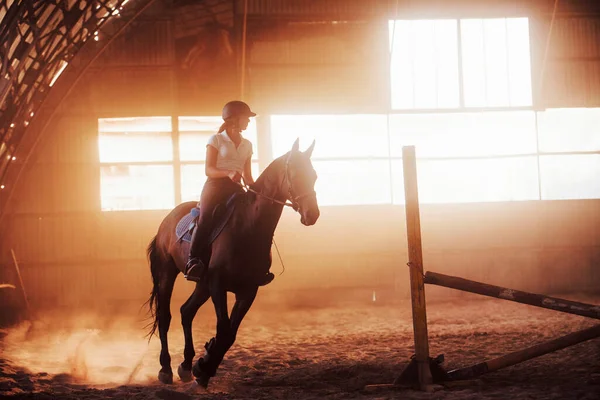 Majestic Εικόνα Της Σιλουέτας Άλογο Αναβάτη Στο Φόντο Ηλιοβασίλεμα Κορίτσι — Φωτογραφία Αρχείου