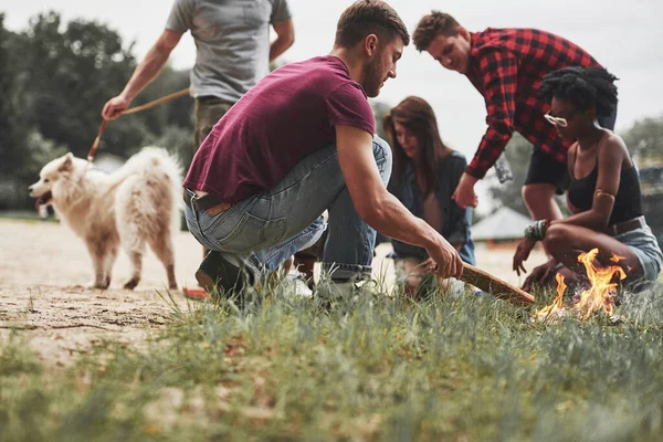 Det Blir Trevlig Lägereld Grupp Människor Har Picknick Stranden Vänner — Stockfoto