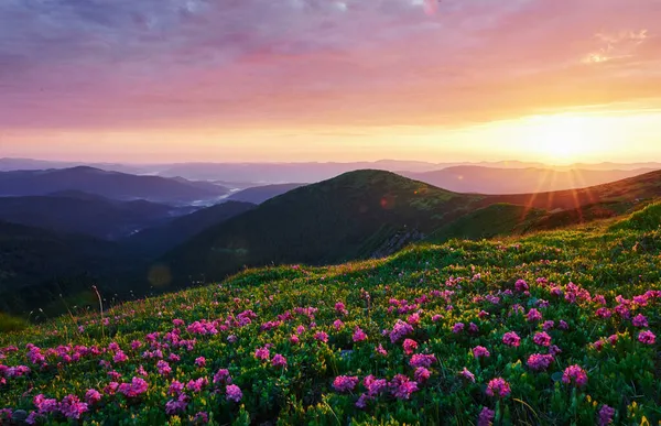 Поздние Лучи Солнца Величественные Карпатские Горы Красивый Пейзаж Захватывающий Вид — стоковое фото