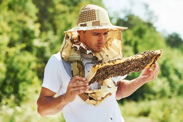 Hobby Interesy Pszczelarz Pracuje Plastrem Miodu Pełnym Pszczół Świeżym Powietrzu — Zdjęcie stockowe