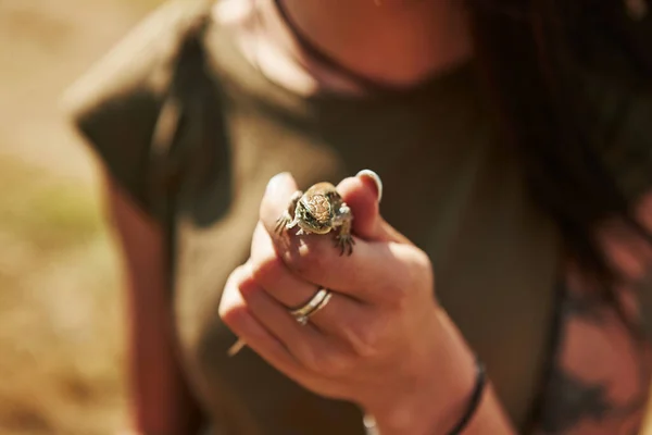 Hagedis Hand Van Een Vrouw Zonnige Dag Buiten Ontvangenis Van — Stockfoto