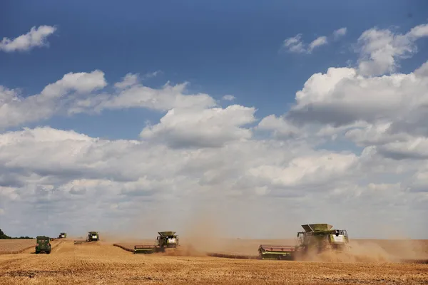 여름철에 농사를 밭에서 일하는 대규모의 — 스톡 사진