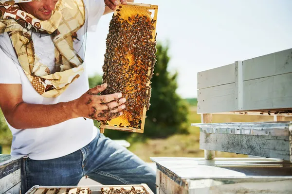 Προστατευτική Μάσκα Μελισσοκόμος Εργάζεται Κηρήθρα Γεμάτη Μέλισσες Εξωτερικούς Χώρους Την — Φωτογραφία Αρχείου