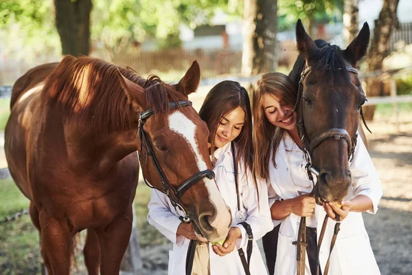 Feeding Apples Two Female Vets Examining Horse Outdoors Farm Daytime — Stock Photo, Image