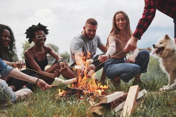 Patrzę Ognisko Grupa Ludzi Organizuje Piknik Plaży Przyjaciele Bawcie Się — Zdjęcie stockowe