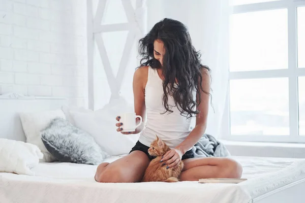 Sostener Taza Acariciar Gato Atractiva Rubia Descansando Cama Blanca Con — Foto de Stock
